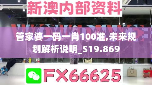 管家婆一码一肖100准,未来规划解析说明_S19.869