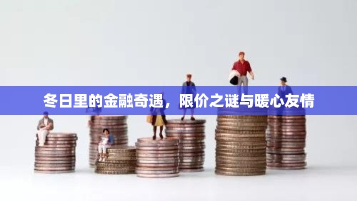 冬日金融奇遇，限价之谜与暖心友情的碰撞