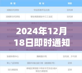 探讨即时通知与实时活动的重要性及其对影响分析（2024年12月18日）