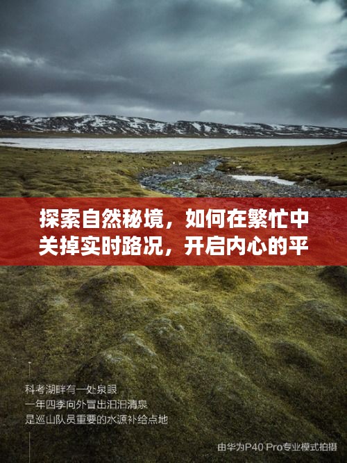 行百里者半九十 第2页