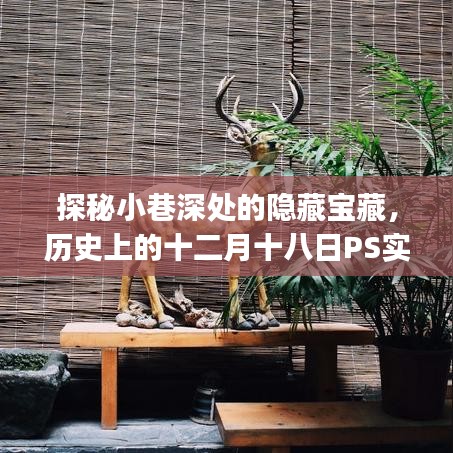 关于我们 第238页