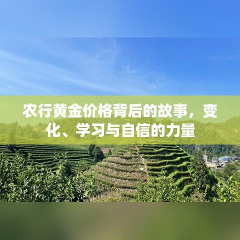 吉光片羽 第2页