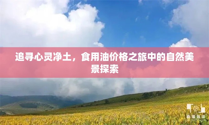 鸷鸟不群 第2页