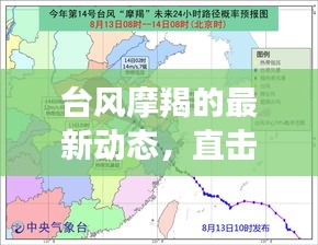 台风摩羯最新动态，实时路径分析与观察报告（12月18日更新）