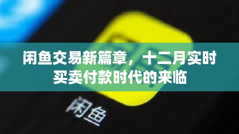 箪瓢陋巷 第3页