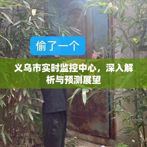 义乌市实时监控中心，深度解析与未来预测展望