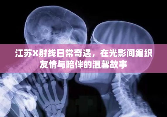 江苏X射线下的友情与陪伴，光影间的日常奇遇