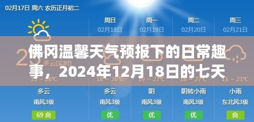 关于我们 第224页
