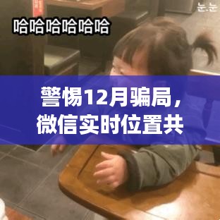 洵属可贵 第2页