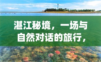 蓬荜生辉 第2页
