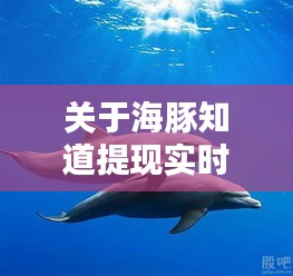 海豚知道提现实时性的最新指南，12月22日更新详解