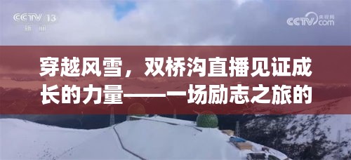 飞黄腾达 第2页