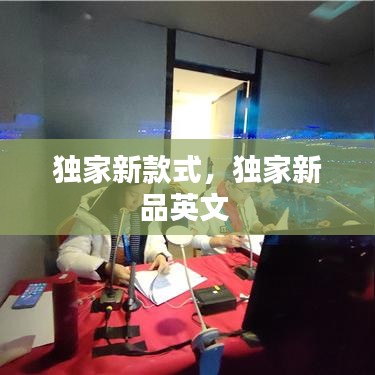 雍容华贵 第2页