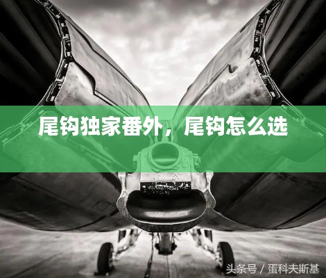 眉清目秀 第2页