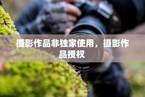 风驰电掣 第2页