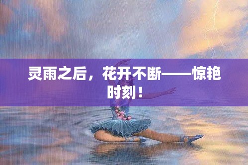 灵雨之后，花开不断——惊艳时刻！