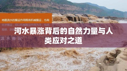 河水暴涨背后的自然力量与人类应对之道