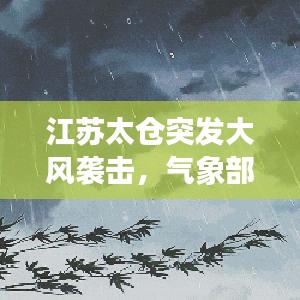 江苏太仓突发大风袭击，气象部门紧急预警通知