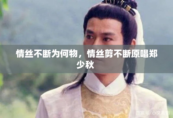 司空见惯 第2页