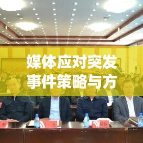 媒体应对突发事件策略与方法，高效处置，精准传播