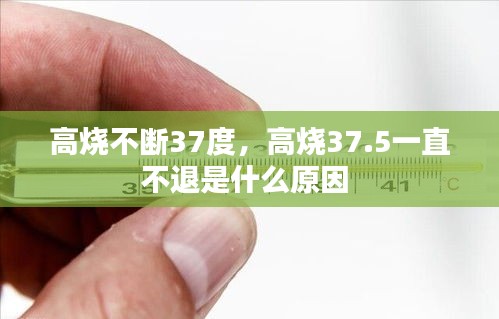 产品中心 第153页