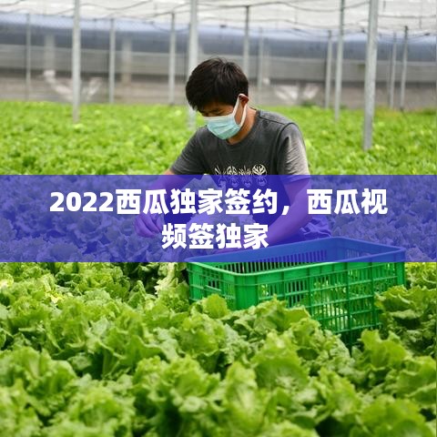 心慌意乱 第2页
