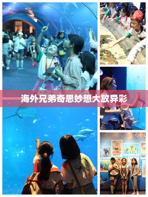 第579页