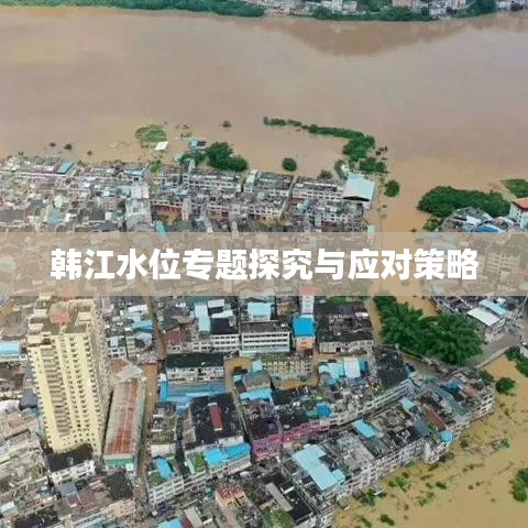 韩江水位专题探究与应对策略