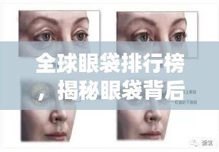 新澳中心 第115页