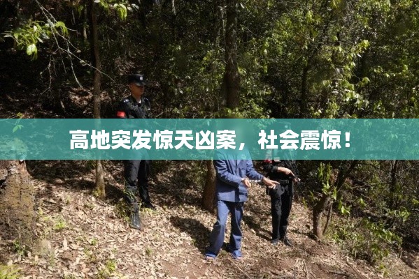 高地突发惊天凶案，社会震惊！