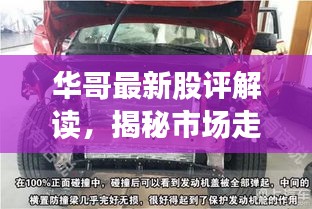 华哥最新股评解读，揭秘市场走势，掌握最新消息动态