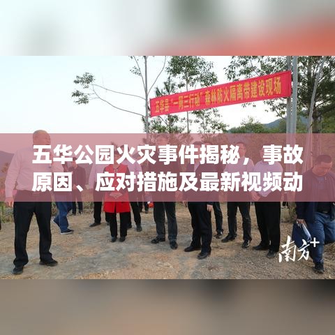 五华公园火灾事件揭秘，事故原因、应对措施及最新视频动态
