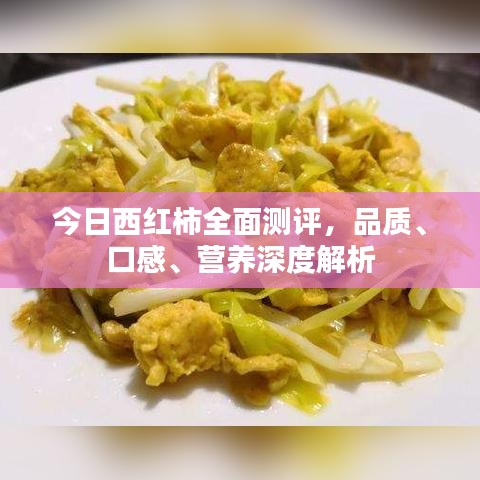 今日西红柿全面测评，品质、口感、营养深度解析