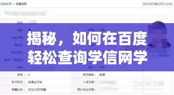揭秘，如何在百度轻松查询学信网学籍信息！
