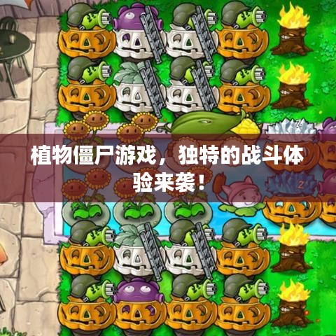 植物僵尸游戏，独特的战斗体验来袭！