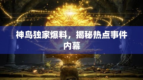 神鸟独家爆料，揭秘热点事件内幕