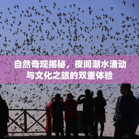 自然奇观揭秘，夜间潮水涌动与文化之旅的双重体验