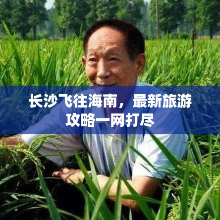长沙飞往海南，最新旅游攻略一网打尽