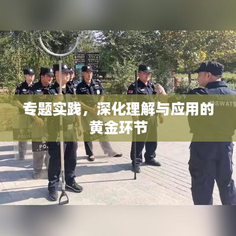 专题实践，深化理解与应用的黄金环节