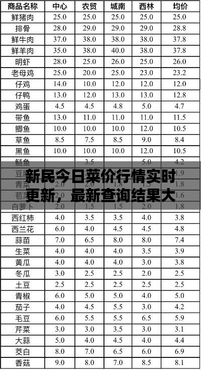 新民今日菜价行情实时更新，最新查询结果大揭秘！