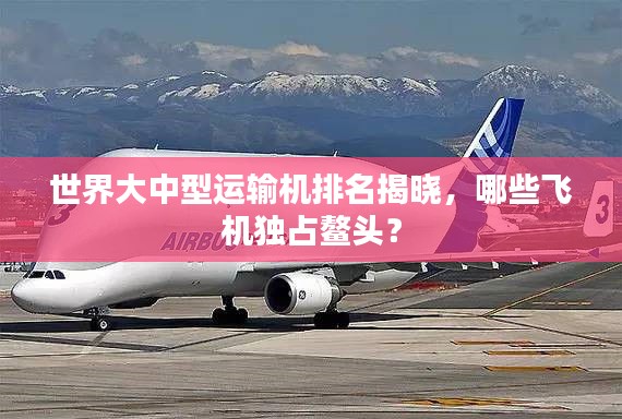 世界大中型运输机排名揭晓，哪些飞机独占鳌头？