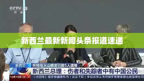 新西兰最新新闻头条报道速递