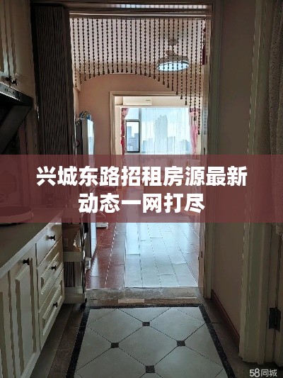 兴城东路招租房源最新动态一网打尽