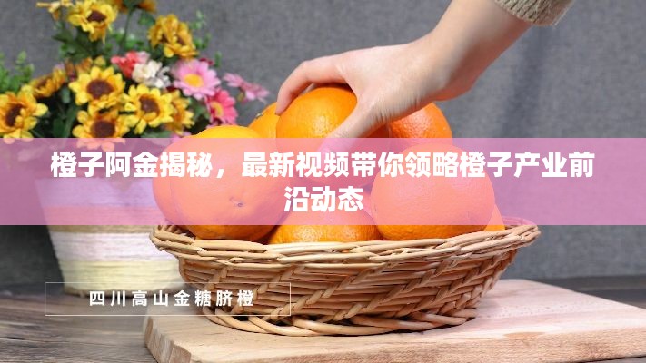 橙子阿金揭秘，最新视频带你领略橙子产业前沿动态