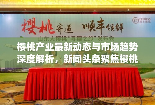 樱桃产业最新动态与市场趋势深度解析，新闻头条聚焦樱桃产业