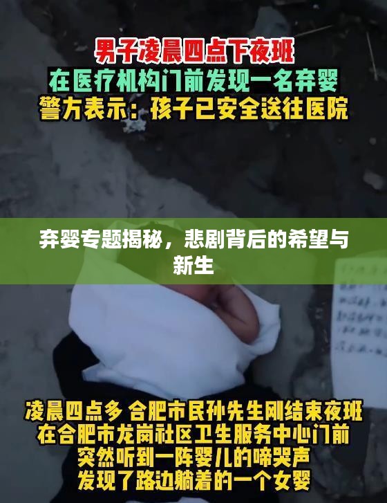 弃婴专题揭秘，悲剧背后的希望与新生