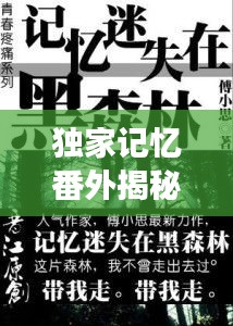 独家记忆番外揭秘，追寻遗失的情感碎片之旅