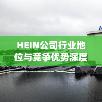 HEIN公司行业地位与竞争优势深度解析