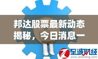 邦达股票最新动态揭秘，今日消息一览，把握投资机会！