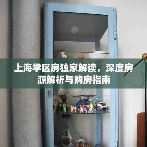 上海学区房独家解读，深度房源解析与购房指南